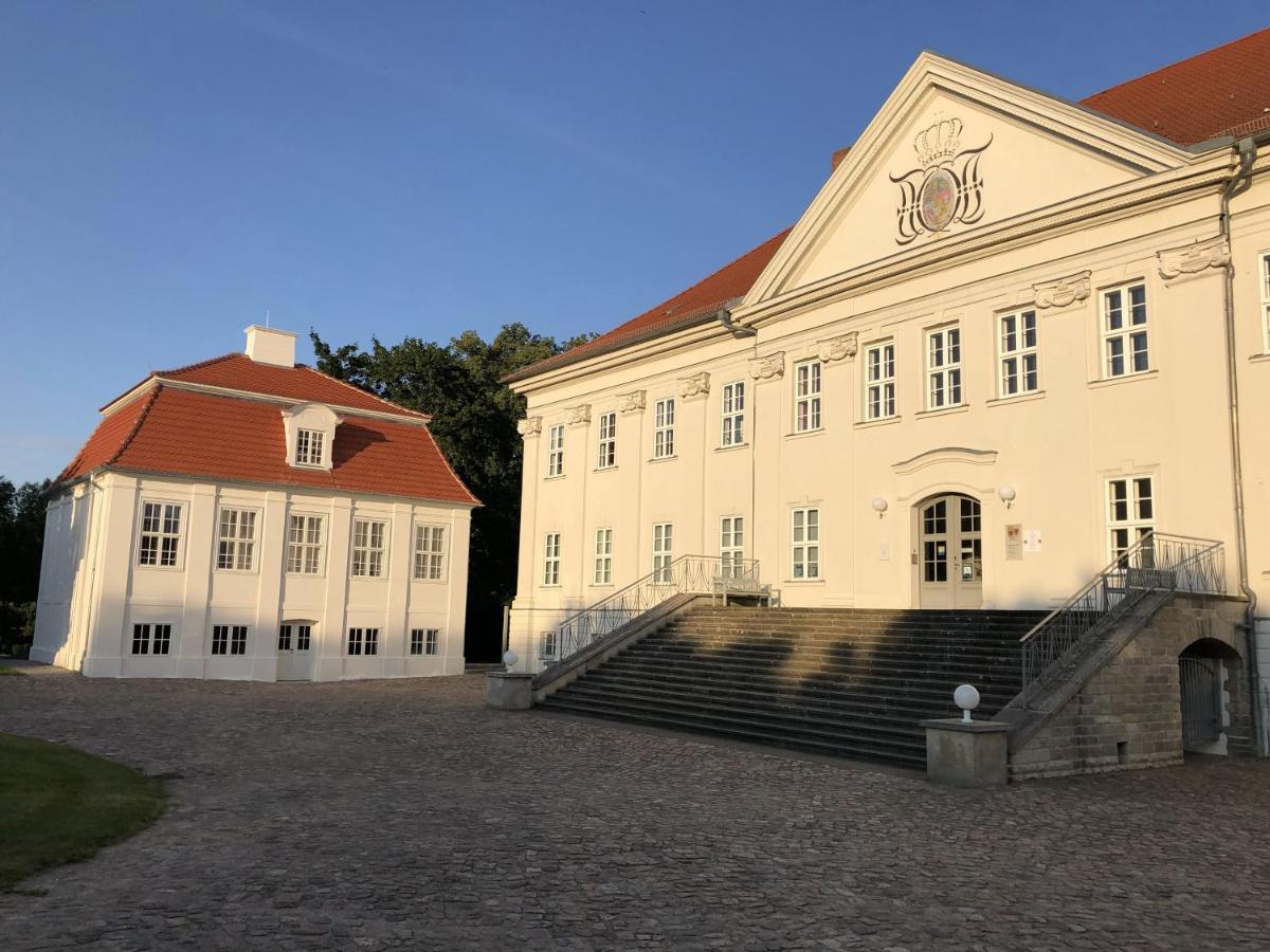Bungalows Am Waldessaum Bei Hohenzieritz Eksteriør bilde